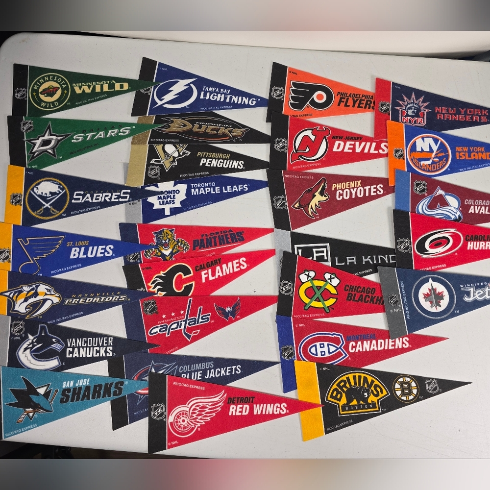 NHL Hockey 28 Team 4x9 Mini Pennant Set By Rico Tag Express